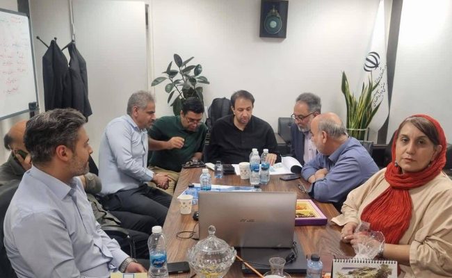 رعیتی: شورای معماری سازمان منطقه آزاد مهران، طرح نهایی ارگ اداری، خدماتی و رفاهی «جوادالائمه(ع)» را تصویب کرد