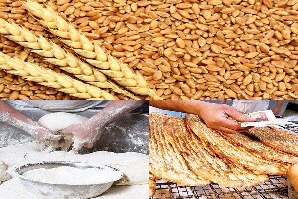 تشکیل ۱۰۰ پرونده تخلف در حوزه آرد و نان استان ایلام