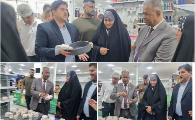 بازدید نماینده مجلس استان واسط از نمایشگاه صنایع‌دستی ایلام