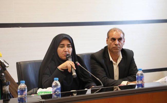 دولت بسته توسعه صنعتی ایلام را با اولویت اجرا تدوین کند