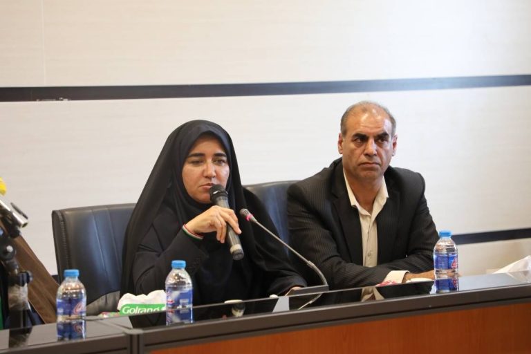 دولت بسته توسعه صنعتی ایلام را با اولویت اجرا تدوین کند