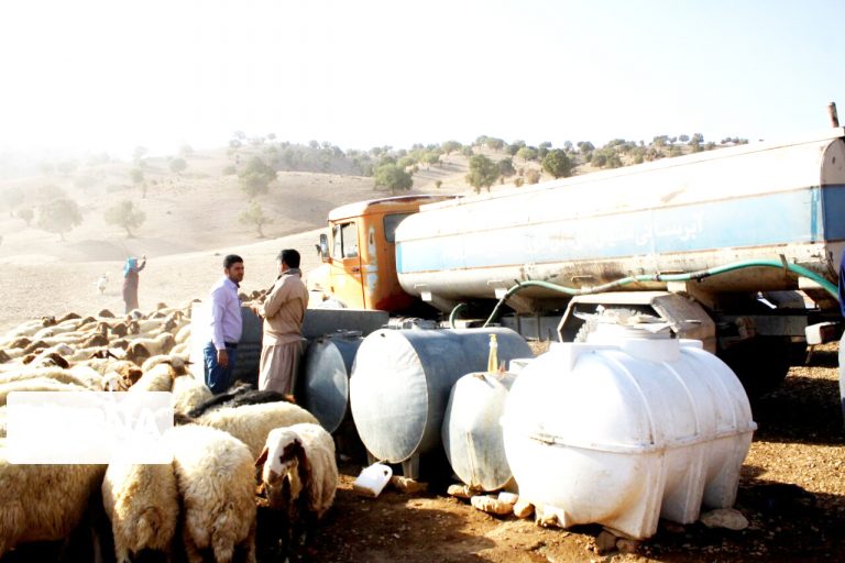 مدیرکل امور عشایری ایلام خبر داد: ۲۱۰ میلیارد ریال از محل سفر رییس جمهوی برای عشایر ایلام مصوب شد