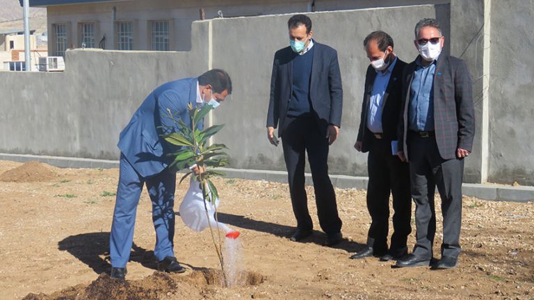 بمناسبت روز درختکاری صورت گرفت؛ غرس نهال در محوطه اداری شرکت آب منطقه ای ایلام با حضور مدیر عامل