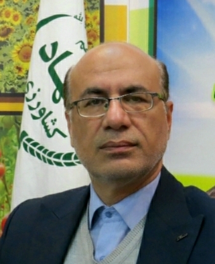 رئیس سازمان جهاد کشاورزی استان ایلام خبر داد: سرشاخه کاری در باغات گردو؛ انقلابی در اقتصادی کردن باغات گردوی استان ایلام