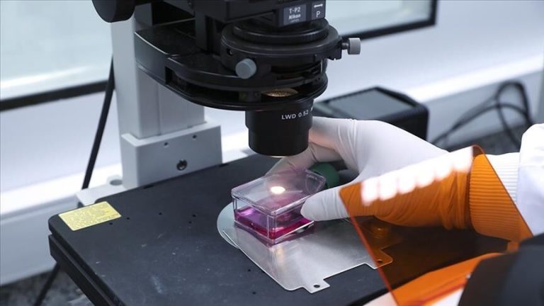 دانشگاه علوم پزشکی شهید بهشتی: هیچ مورد تاییدشده‌ای از ابتلا به آبله میمونی در کشور وجود ندارد