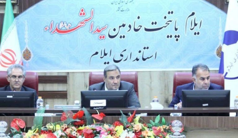 استاندار ایلام تاکید کرد: شتاب بخشی به حوزه مسکن و اشتغال استان عزم همگانی می‌طلبد