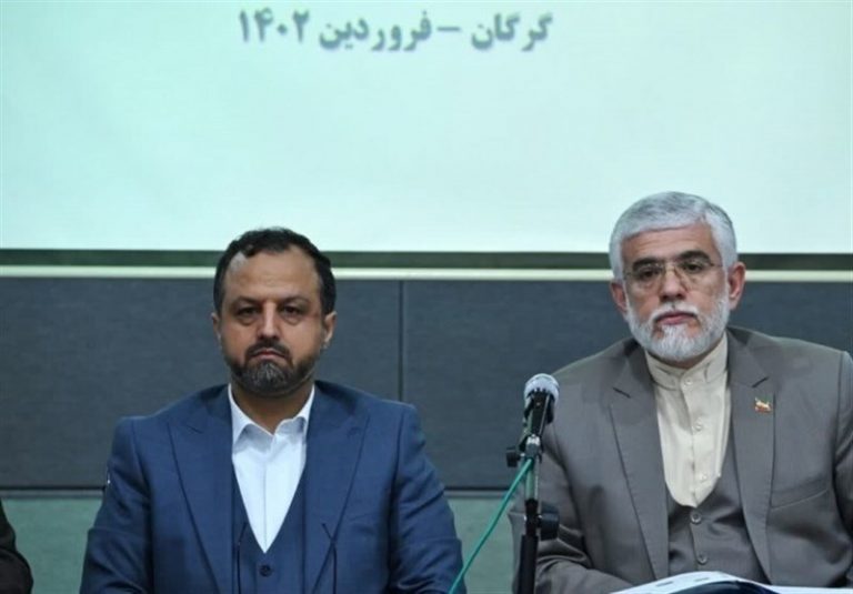 وزیر اقتصاد: برخی مسئولان برای اجرای قانون مولدسازی مقاومت می کنند