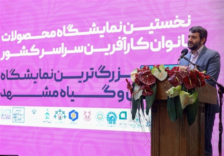 وزیر کار: در اصلاح یارانه‌ها ۴۰۰ میلیارد تومان به ۹۰ درصد مردمی رسید که استحقاق این منابع را داشتند/ در قالب الگوی ارز ۴۲۰۰ تومانی، یک پنجم آن به مردم می‌رسید و بقیه به دلالان، قاچاقچیان و تولیدکنندگان خارجی