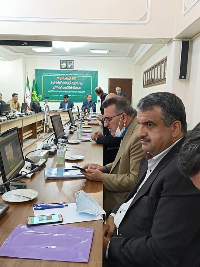 معاون بهبود تولیدات دامی جهادکشاورزی ایلام خبر داد: برنامه تولید قراردادی گوشت قرمز اجرا می شود