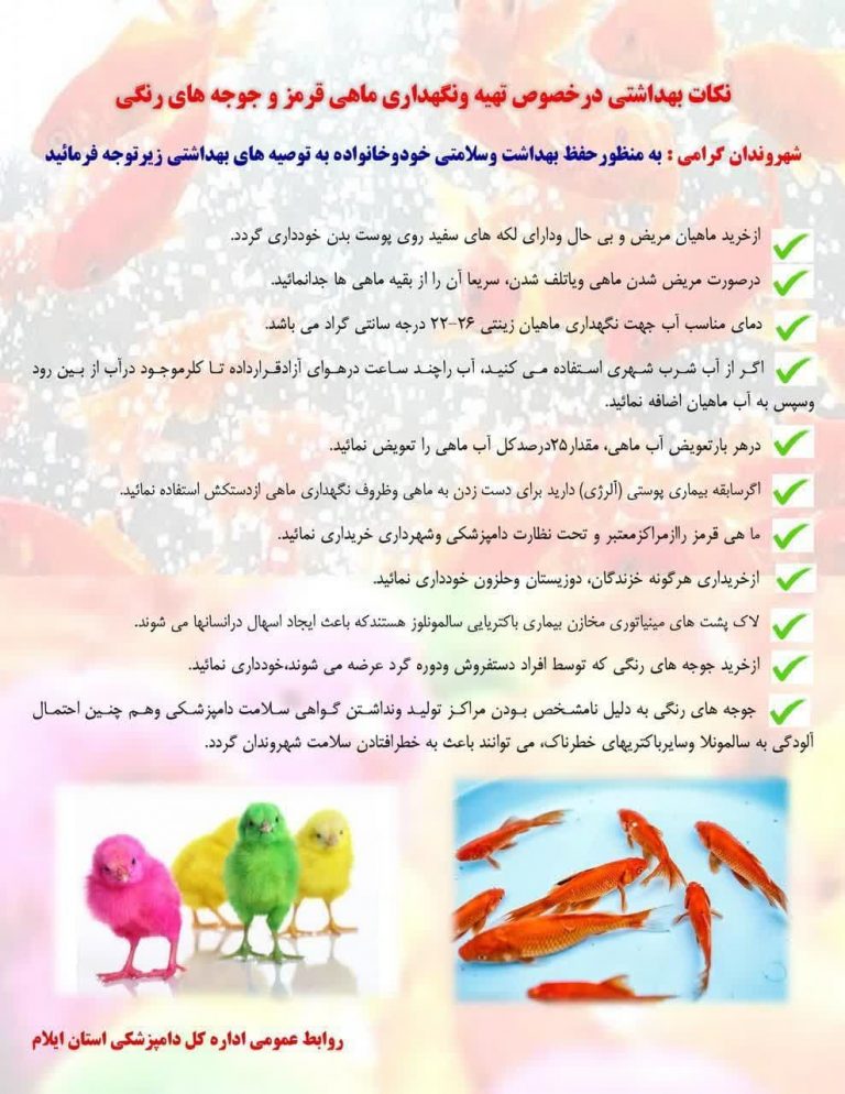 نکات بهداشتی تهیه و نگهداری ماهی قرمز و جوجه های رنگی