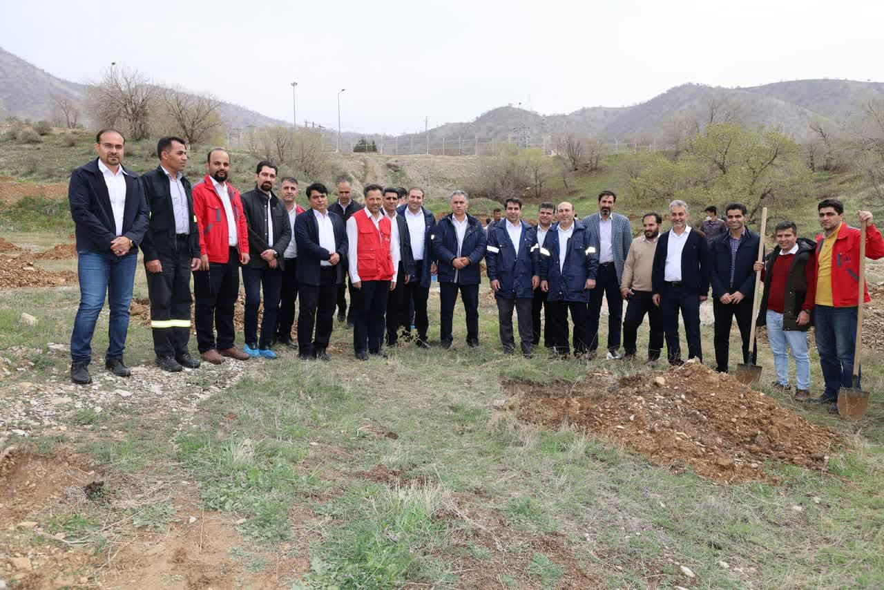 به مناسبت روز درختکاری: غرس 300 نهال درخت در پالایشگاه گاز ایلام