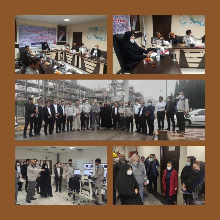 سارا فلاحی در بازدید از پتروشیمی: با سرمایه‌گذاری در ‌استان، ایلام دُبی ثانی می‌شود /ایلام هاب صادراتی خواهد شد