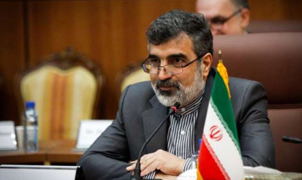 کمالوندی: عوامل ترور شهید فخری‌زاده و حادثه نطنز یکی است/ سازمان انرژی اتمی مجری تصمیمات ارشد کشور است